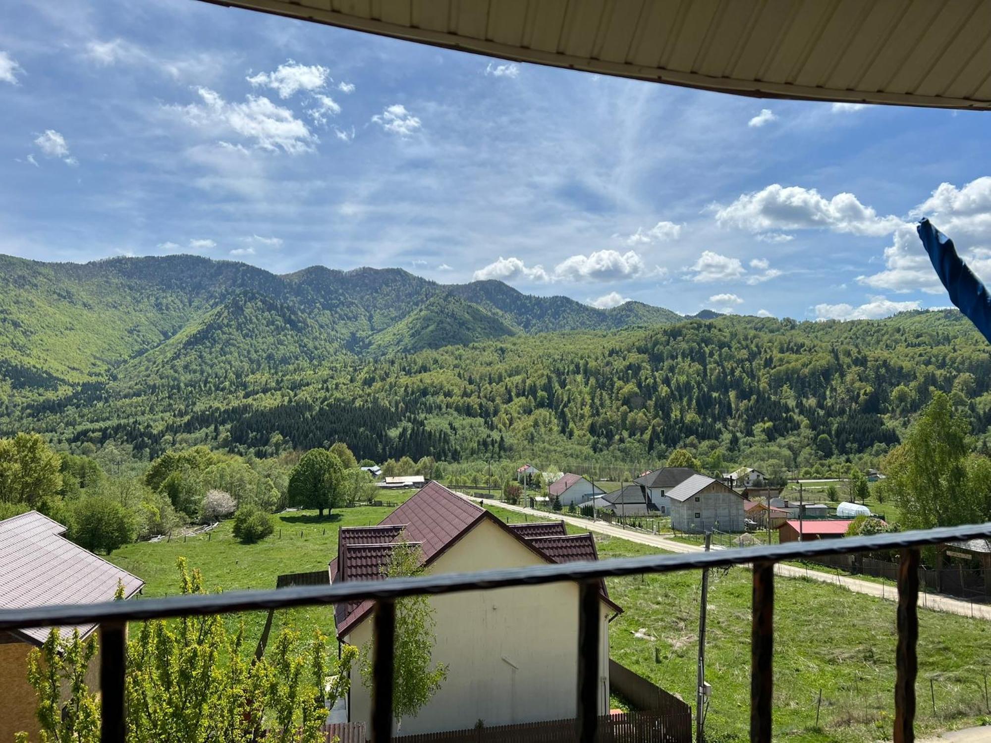 Hotel Casa Potcoava Lepşa Exteriér fotografie