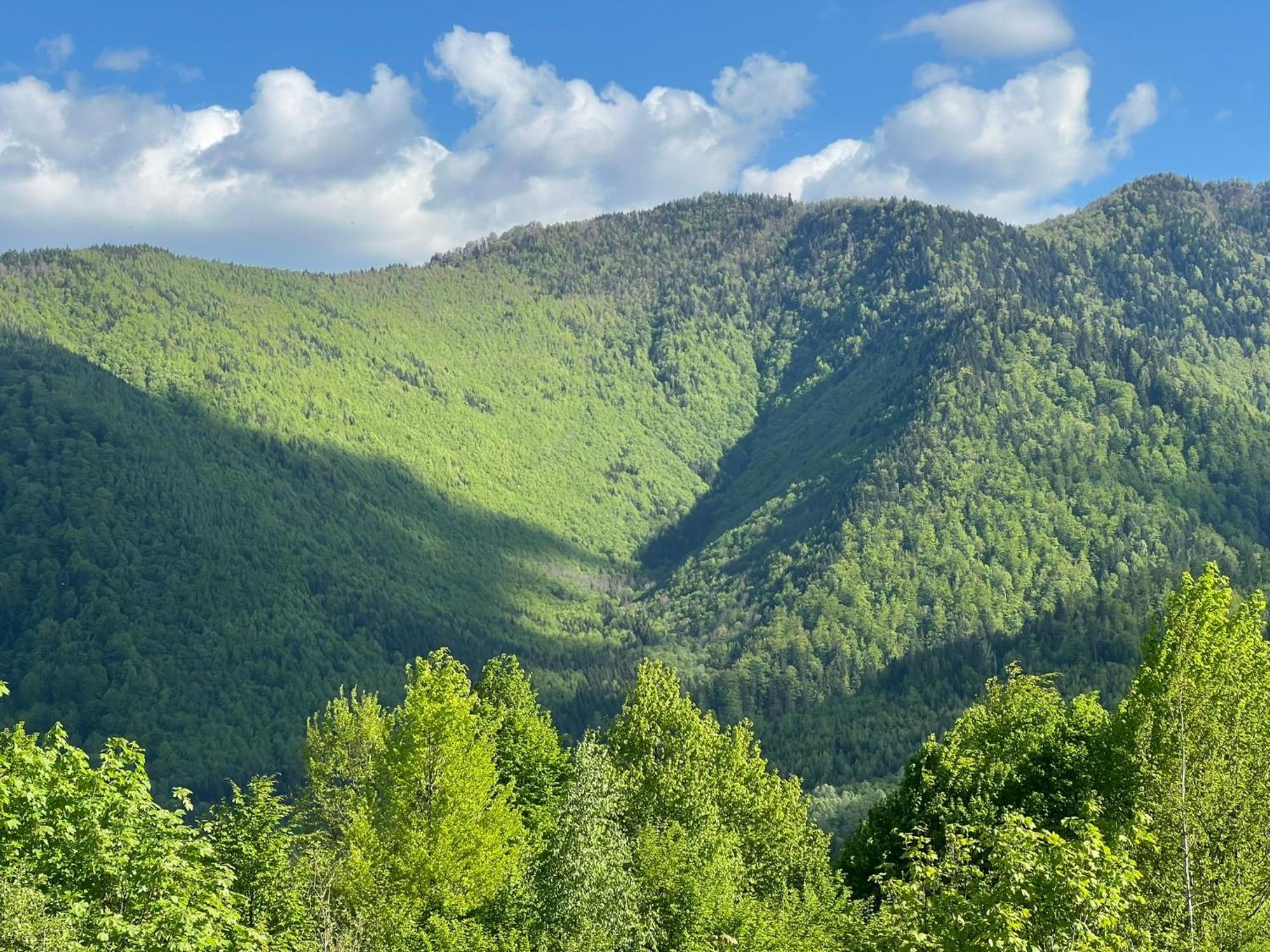 Hotel Casa Potcoava Lepşa Exteriér fotografie